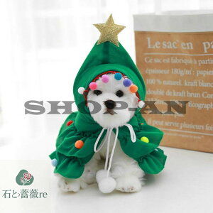 yzLpRXv NX}X  NX}Xc[ ybg }g L  ybg ybgRXv Lp}g 100{ nEC ybgpi Be Mtg T^N