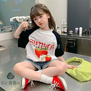 TVc  q  LbYm  xr[ WjA K[Y ؍ IV   vg gbvX N[lbN ~h WjA i` i o A