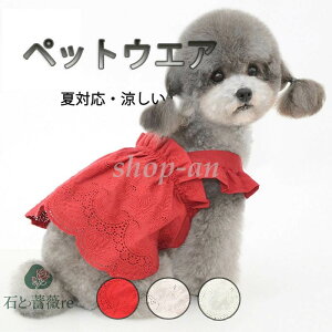  ybgEFA hbOEFA ybgm  L pEFA s[X hX   Y GKg K[[ m[X[u Ȃ ĕ ėp tXJ[g XJ[