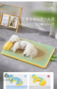 I[V[YΉ pWF VR^҂ Lp\t@xbh ^ 􂦂Jo[t ėpЂybgQ