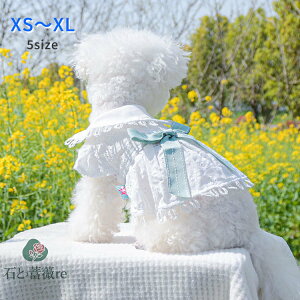  s[X L t  ʋC _炩 ybgEGA  u₩   ˂ ^ ^ p XJ[g EȒP m