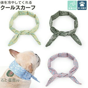 p lbNN[[ XJ[t Ђ ObY MǑ΍ ΍ N[ p Lp pXJ[t Ђ ₷ u p U o pN[o_i JԂ xg