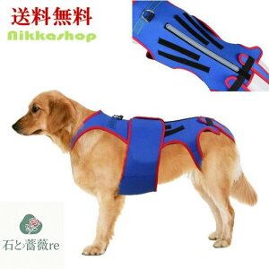  wT|[^[  RZbg \tg^Cv s⏕ T|[g Sgx v ̈U y ʋC V r\ E₷ nrs⏕ n[lX sT|[g