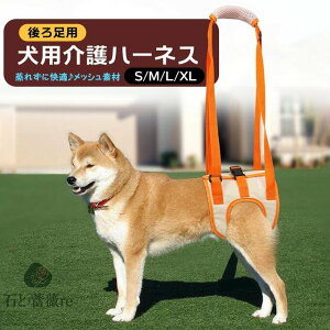 pn[lX  p s ⏕n[lX V 둫 ͂Ȃ T|[^[  wjA p  s⏕  nr  xg oh pi Ȃ [h 