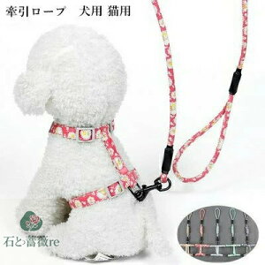 [v [hZbg ybgpi n[lX [h  ^ hbOEFA  ^  ^  p Lp 