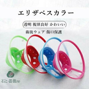 GUxXJ[ \tg L  rj[ }WbNe[v _炩  EǍD 킢 pEFA ی h[ic  ybg 