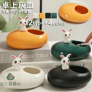 DM DM   ̃ETM CeA Z~bN  qObY ItBX zDM I ^oRi jv[g Mtg u