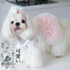  hbOEFA p[eB[hX s[X ybg m[X[u tH[}hX `[s[X lR  L ʐ^  j LO p[eB[ ̕  IV