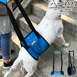  pn[lX tgn[lX 㑫p s⏕ ^ ^ ^ U r₷ xgt \tgpbg y ʋC IX X S-XLTCY V VjA nrs⏕ n