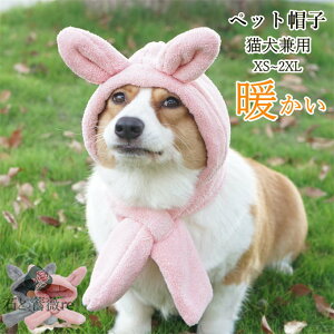 LpXq pXq ybgXq }t[ ybgpi g h 蕨 Lp ӂӂ t Lp 