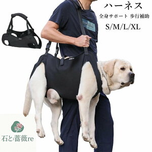 p n[lX xXgn[lX hCuxXgn[lX ybgp pi  ybgp V gC̕⏕ nr Q T|[g [h U pp oR s⏕n[lX tgn