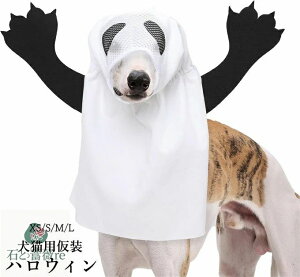 nEB ybgRX`[ ʔ L/pS[XgRX`[ nEB̌̃RX`[ Lp nEBRXvpybgߑ