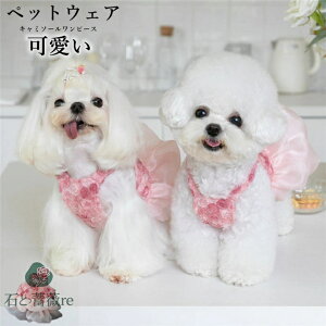  L~\[s[X hbOEFA ybgEFA ԕ `[s[X `[hX o U H~   ybg 킢 IV ybgpi іh~ 