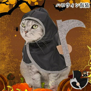 nEB ybgp }g RXv L̈ߑ RXvObY ϐg NX}X a nEB ʐ^ lC LOBe