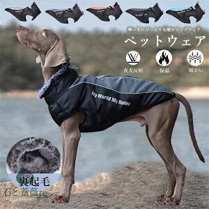 ybg g WPbg ~ hbOEGA /^ hpbh  ˃e[v OS˃ybg gWPbg  ۉ h Uo NX}X VN a