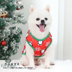 NX}X    hbOEFA p[J[ g[i[ XEFbg RXv ߑ  Xmas H ~ RX`[   L pi Lpi  ϑ v[g LOBe