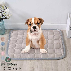 ⊴~pbh h p Lp Ђ}bg L ~ ې JԂp\ ybgpV[c ⊴ V[c bV ėp ybgp MǑ΍ Q ⊴~