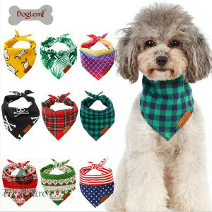 XJ[t o_i ^ hbOEFA 킢 hbO ^ p    ybg  N[ Xg[ ` Aj} }t[ nEB NX}X pi Lpi 