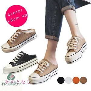  Xj[J[ ƂȂ fB[X 6cm y  Xb| T_Xj[J[ Ȃ Ȃ ƂȂ   ₷ ɂȂ fB[X V[Y LoX 