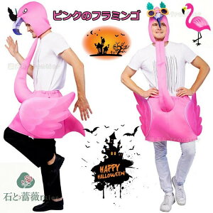   t~S nEB nEB  l    nEB RXv nEB RXv ߑ nEB ߑ nEB[ߑ q l nEB