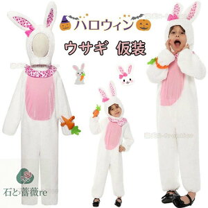 nEB  w q   ̎q j̎q  RX`[    jW LbY  wRXvߑ I[C p[eB[ a Cx