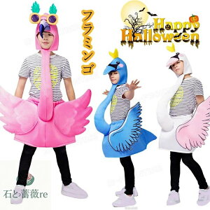 t~S  q nEB ߑ RXv   RX`[ w WjA ΂̒nEB ߑ q  nEB I[C j̎q ̎q  p[eB