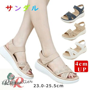 ȂT_ fB[X  X|[cT_ y 4cm T_ ₷ X|[eBT_   fB[XT_ ɂȂ ItBXT_ L r IV