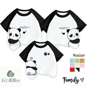 NR[f eq Zbg eq yAtVc q  p_ tVc eq yAbN Ԃ eqR[f tVc Ƒ  tVc eqyA pp 傫TCY eqR[f xr[ yA