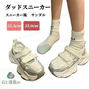 Xj[J[ T_ fB[X  X|[cT_ ꂢ ܐ悠 T_Ȃ T_   ؍ ₷ PU wlC d ʋC[X ₷ 