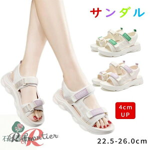 ȂT_ fB[X  X|[cT_ y 4cm T_ ₷   fB[XT_ ɂȂ ItBXT_ L r IV d Xj[J