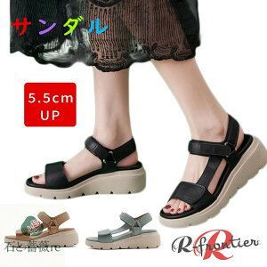 ȂT_ fB[X  X|[cT_ ₷ ꂢ 5.5cm  T_ ItBXT_ fB[XT_ ɂȂ d r  y _炩 L