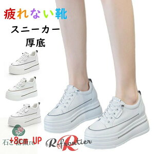  Xj[J[  8cm fB[X LoX Xj[J[ ₷  ؍ ɂ nC\[  y r ubN zCg gAbv  fB[X [Jb