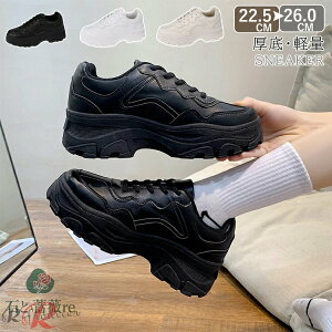 Xj[J[ fB[X C zCg ubN _XV[Y IVXj[J[  C XN[V[Y Xbp V[Y ʊw Xj[J[ Ȃ  gAbv ؍ ʋ 