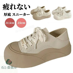 LoXV[Y fB[X  IVXj[J[ Ƃ߂ y 2WAY ؍ Xj[J[ [Jbg r Xb|Xj[J[ _炩 r JWA Ȃ ₷ 