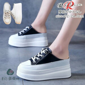 ƂȂXj[J[ IVXj[J[ fB[X C zCg ubN  8cm  gAbv ؍ ʋ d ʊw C U V[Y Ȃ y C XN[V[Y X