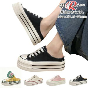 ƂȂXj[J[ IVXj[J[ fB[X C CG[ sN   ؍ ʋ d ʊw C Ȃ y C XN[V[Y U V[Y Xbp V[Y 