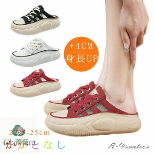 ƂȂ Xj[J[  fB[X Xb| y 4cm ₷ ȂC X|[cT_ fB[X ܐ悠 T_Xj[J[ V[Y Ȃ wlC ؍ r 