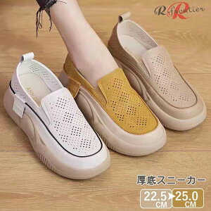 Xj[J[ bV IVXj[J[ fB[X  q C zCg CG[  C XN[V[Y V[Y ʊw Xj[J[ Ȃ K ʋC  gAbv 