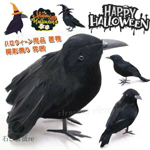 nEB[ pi u JX G   Be  ߋ ΂ d|  nEB   p[eB[  ObY v[g ~ w Ǐ i 