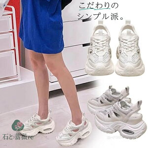 ȂT_ fB[X Xj[J[ X|[cT_  T_ y IV Xj[J[T_ fB[X _bhXj[J[ Xj[J[ fB[X ؍ q[8cm 