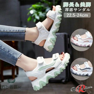 X|[cT_  fB[X ₷ ₷ 5cm X|T d Xj[J[ fB[X ᔽ Ȃ T_ r[`T_ r AEghA ₷  ɂ