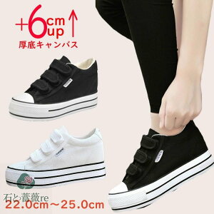 fB[X Xj[J[ LoX Xj[J[ Ȃ  6cm tbg IVXj[J[ nC\[ ɂ y r  zCg ubN gAbv  JWA