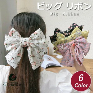 wAANZ rbO { ԕ { 傫 \  ؍ wAANZT[ ob^ rbOTCY wANbv ڂ  fB[X  p[eB wA{ sAm\