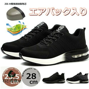 SC Y GA  [JbgʋC SC ʋCQ SC   Xj[J[ SC  [Jbg [N} SC fB[X y 23.5 Ȃ c GA