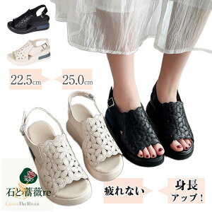 ȂT_ fB[X Ȃ fB[XT_ T_ q[ 6.5cm ԕ X|[cT_  gAbv d C Ȃ T_Xj[J[ ʋC NbV I