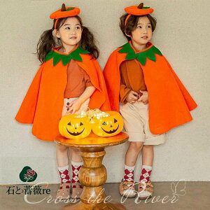 nEB  w nEB ߑ }g+XqZbg 1 xr[ RXv 2_Zbg q j̎q ̎q ڂ IW LbY 1 2 nEB }g  RX`[ R