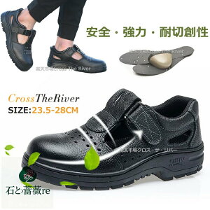 ʋCQ SC ʋC   SC h y  Y SC fB[X 23.5 28 27 26 25 24 23 ϖ SC ʋC y Xj[J[ hL ɂ ΍ v ƒ