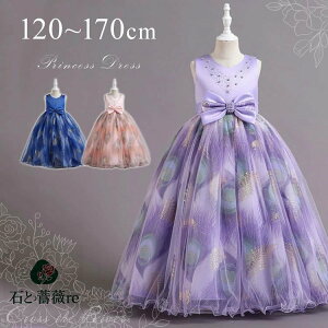 sAm\ hX w s[X O tphX H 140 150 q { sAm qhX RN[ ̎q \ XpR[ tH[} w WjA p[eB E