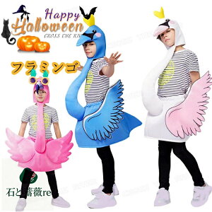 t~S RXv nEB ߑ q   RX`[ w WjA ΂̒nEB ߑ q   nEB I[C j̎q ̎q  p[eB