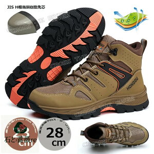  SC nCJbg ƌC SC Y SC SCꃁY SC nCJbg SCꃌfB[X AEghA oRC SC nCJ